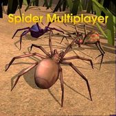   Spider World Multiplayer (  )  